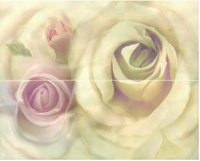 Decor Romance Crema Rosa - комплект