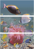 Decor Caribe