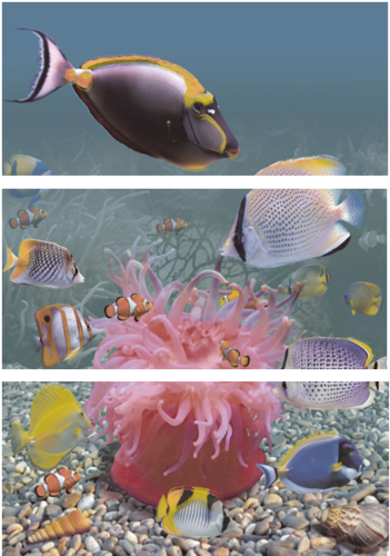 Decor Caribe