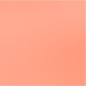 Arty Coral