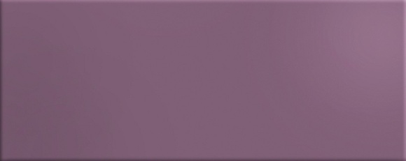 Intensity Purple