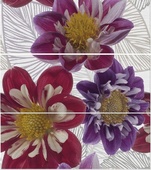 Marguerite Siena Blanco (3бр плочки к-т)