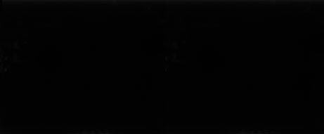 Carrara Black