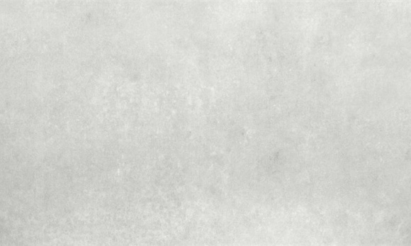 Delhi Gris