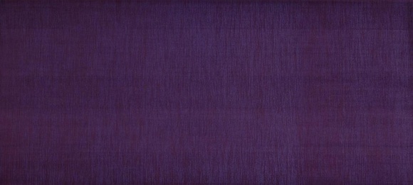 Elegant Plum