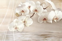 Decor Onice Irina