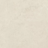 Concrete Bone
