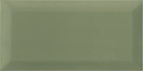 Bissel Green Olive