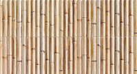 Bamboo Cream