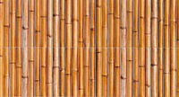 Bamboo Brown