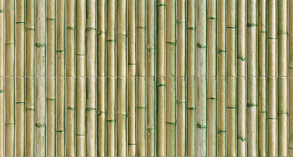 Bamboo Green