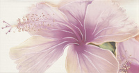 Decor Sensations Blanco Bano 1